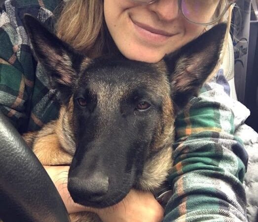 Eva – The Story of a Brave Dog Saving His Owner and an Inseparable Friendship