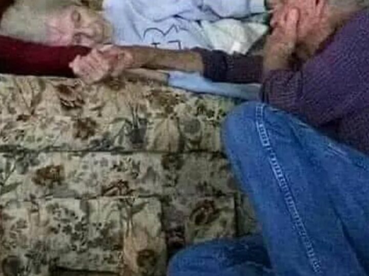 “I Love You Forever”: A Grieving Husband’s Final Moments with His Wife and the Life Lesson It Taught Him