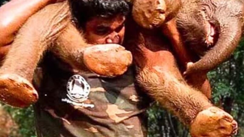 The Weight of Hope: How One Man’s Incredible Act of Courage Redefined Heroism