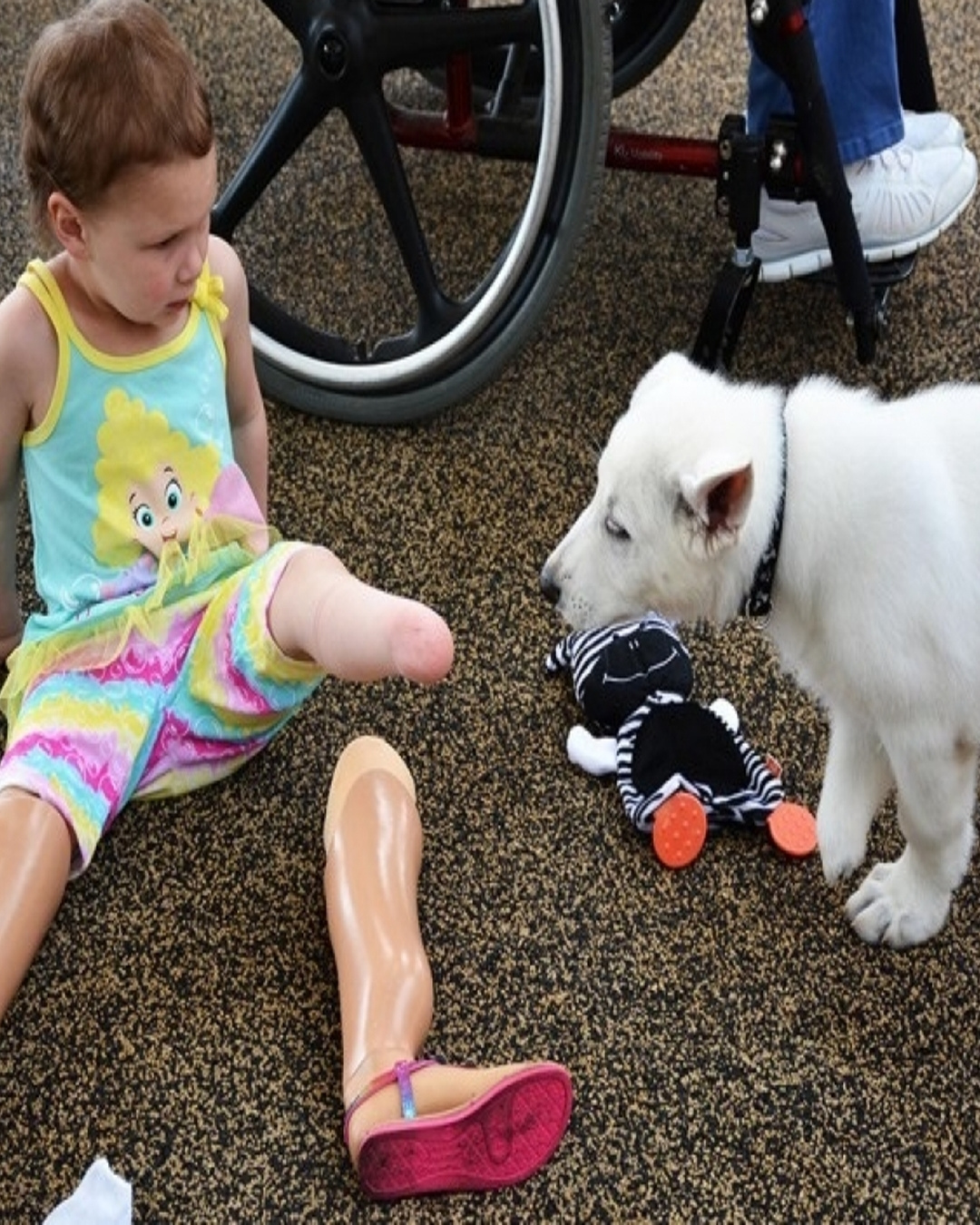 A Toddler Without Feet and a Puppy Missing a Paw: A Bond Beyond Words