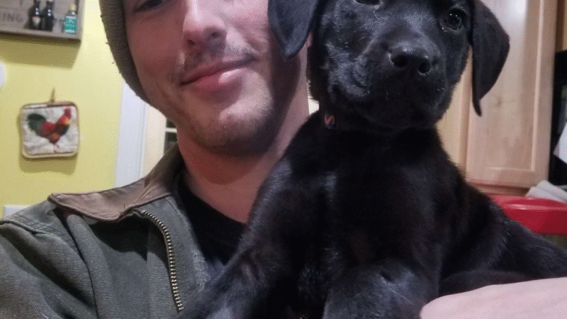 A Bond Forged in Silence: The Story of Nick and Emerson