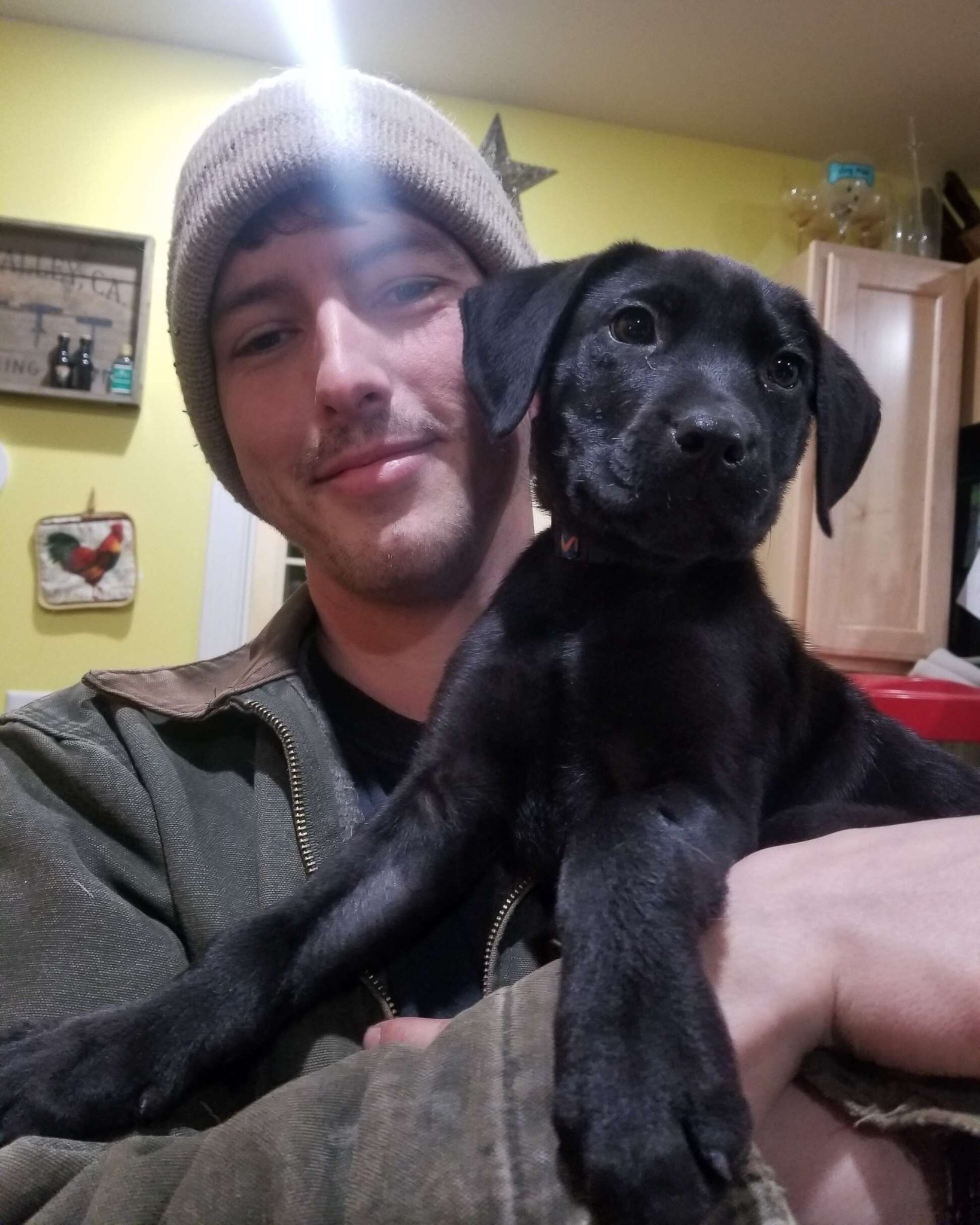 A Bond Forged in Silence: The Story of Nick and Emerson