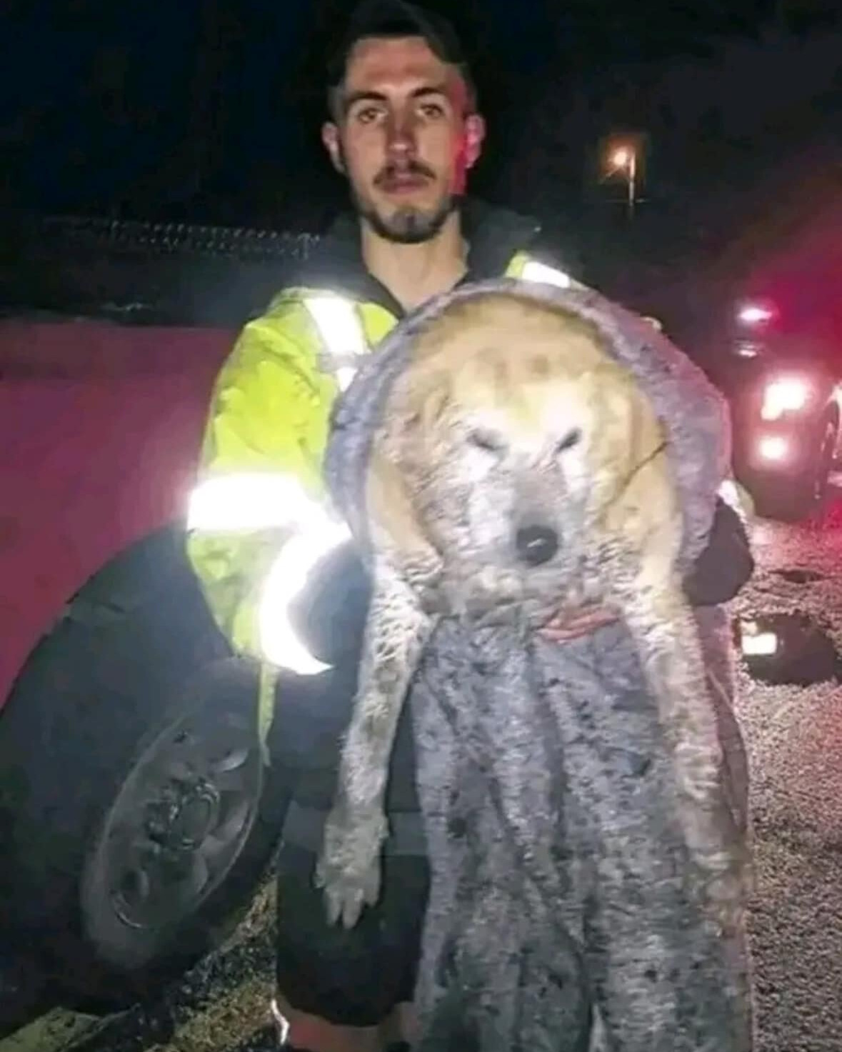 An Unbreakable Spirit: The Icy Ordeal and a Fire Chief’s Resolve