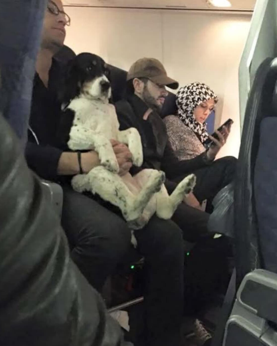 Two Seats for Bruno: A Journey of Compassion
