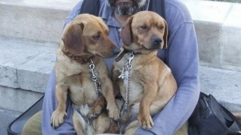 The Trinity of the Cold Stone