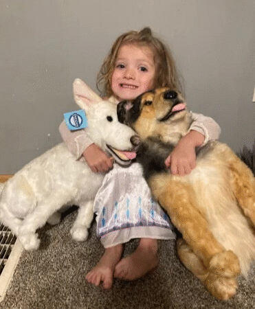 Holding On to Love: A Family’s Journey After Losing Their Dogs in a Fire