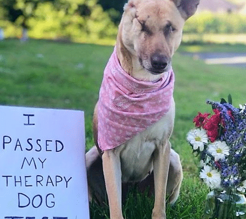 From Broken to Beautiful: Maggie’s Journey of Hope