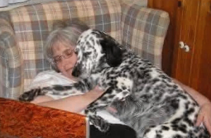 The Dog Who Chose His Family: A Story of Casey’s Second Chance