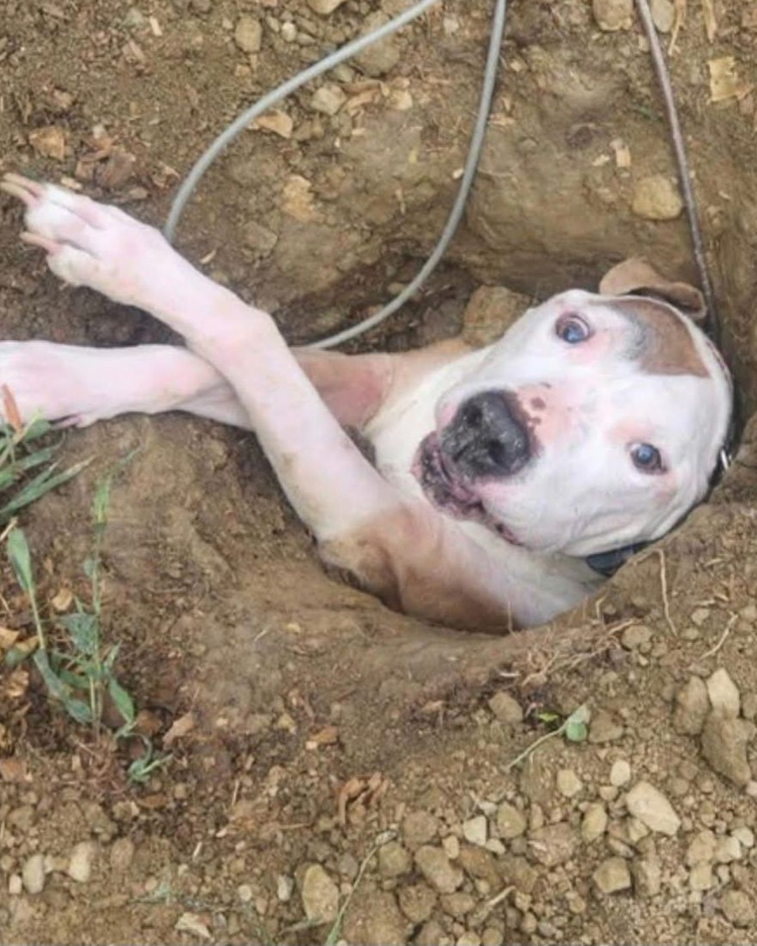 A Gate Ajar, A Family’s Journey Home