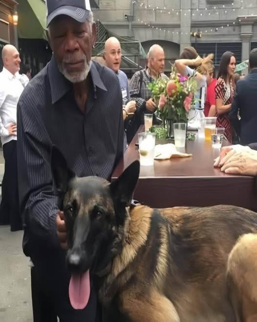 The Sanctuary of Hope: Morgan Freeman’s Ultimate Role is a Masterclass in Compassion