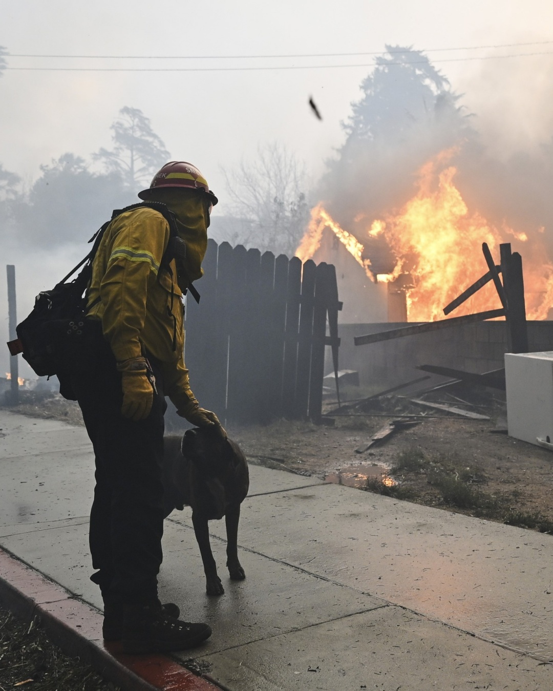 An Ember of Hope: The Firefighter, the Dog, and the Power of Compassion in Chaos