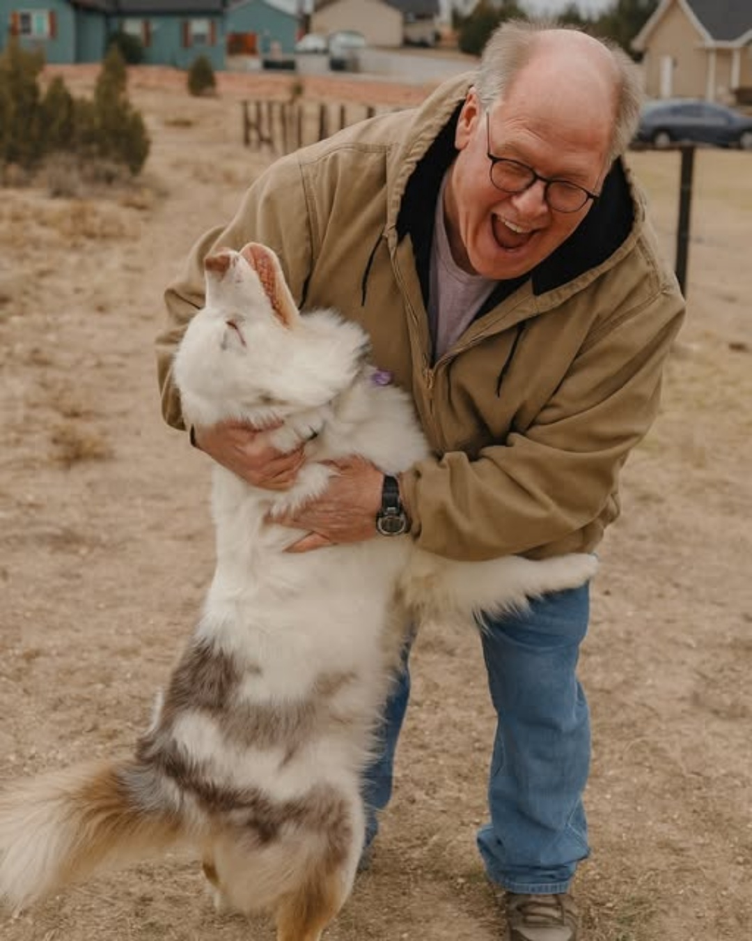 The Scent of Home: How a Blind and Deaf Dog’s Heart Remembered Everything