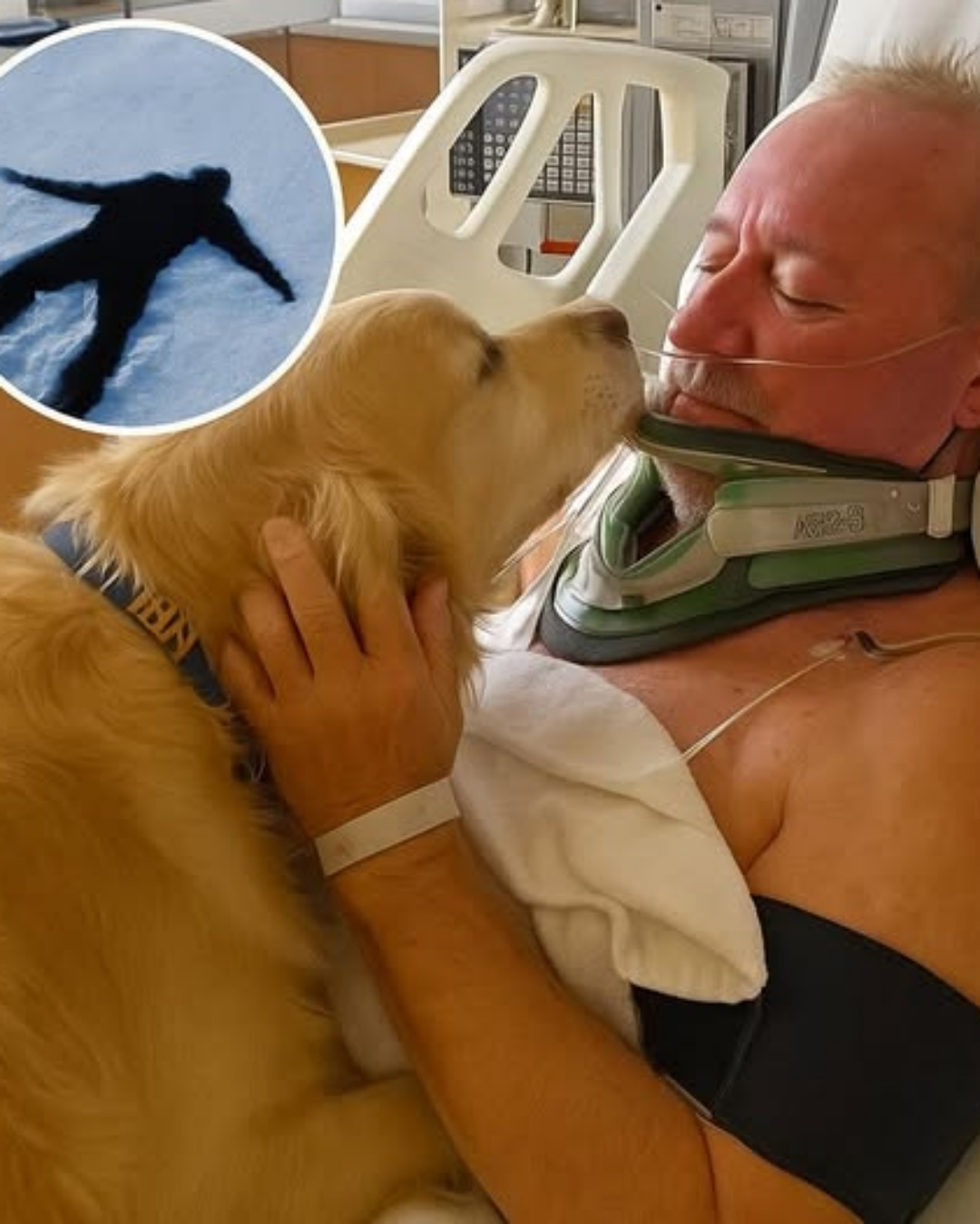 The Bark That Broke the Blizzard: A True Story of a Dog’s Unbreakable Loyalty