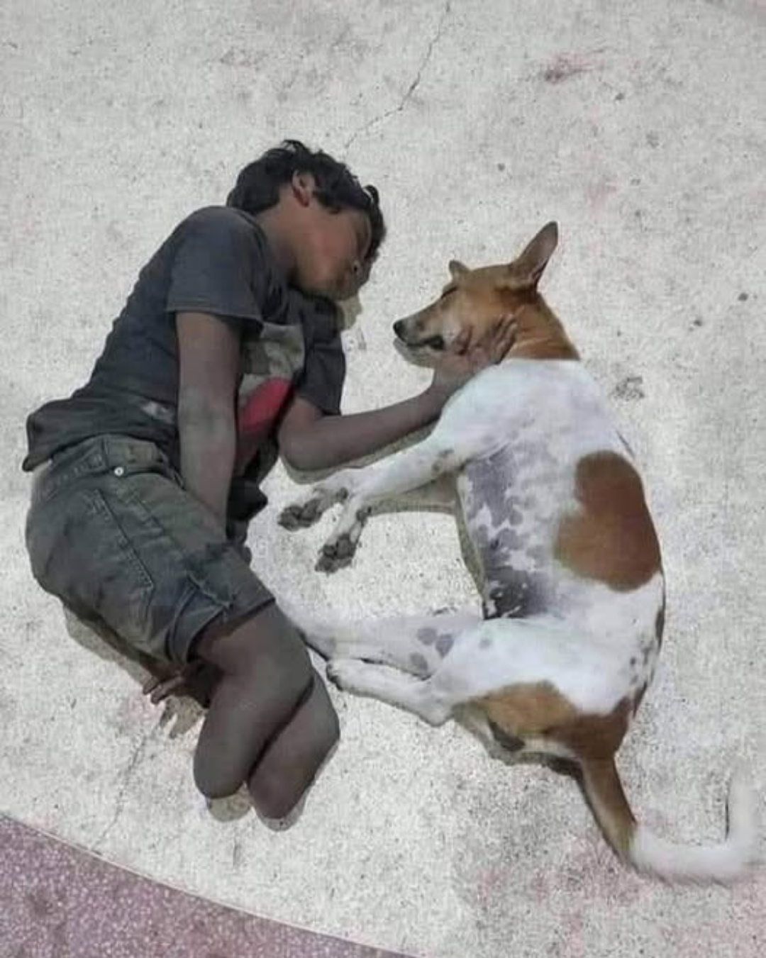 The Day They Forgot to Be Hungry: A Story of Unbreakable Hope