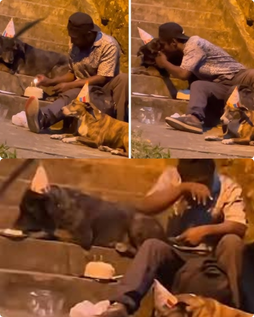 He Had Nothing, But His Dog’s Birthday Party Taught a City Everything About Love