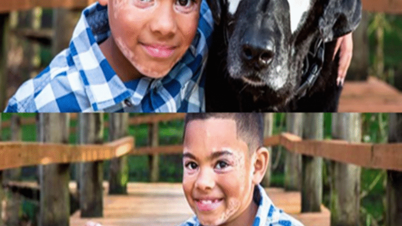 The Dog Who Changed Everything: How Rowdy Helped a Boy Embrace His True Self