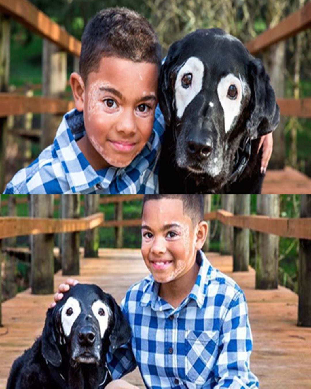 The Dog Who Changed Everything: How Rowdy Helped a Boy Embrace His True Self