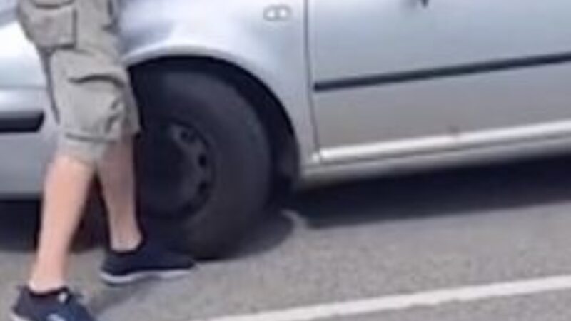 The hero uses an axe to save the dog