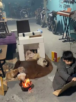 A Little Hero with a Big Heart: Young Boy Spends His Savings to Build a Warm Shelter for Stray Cats