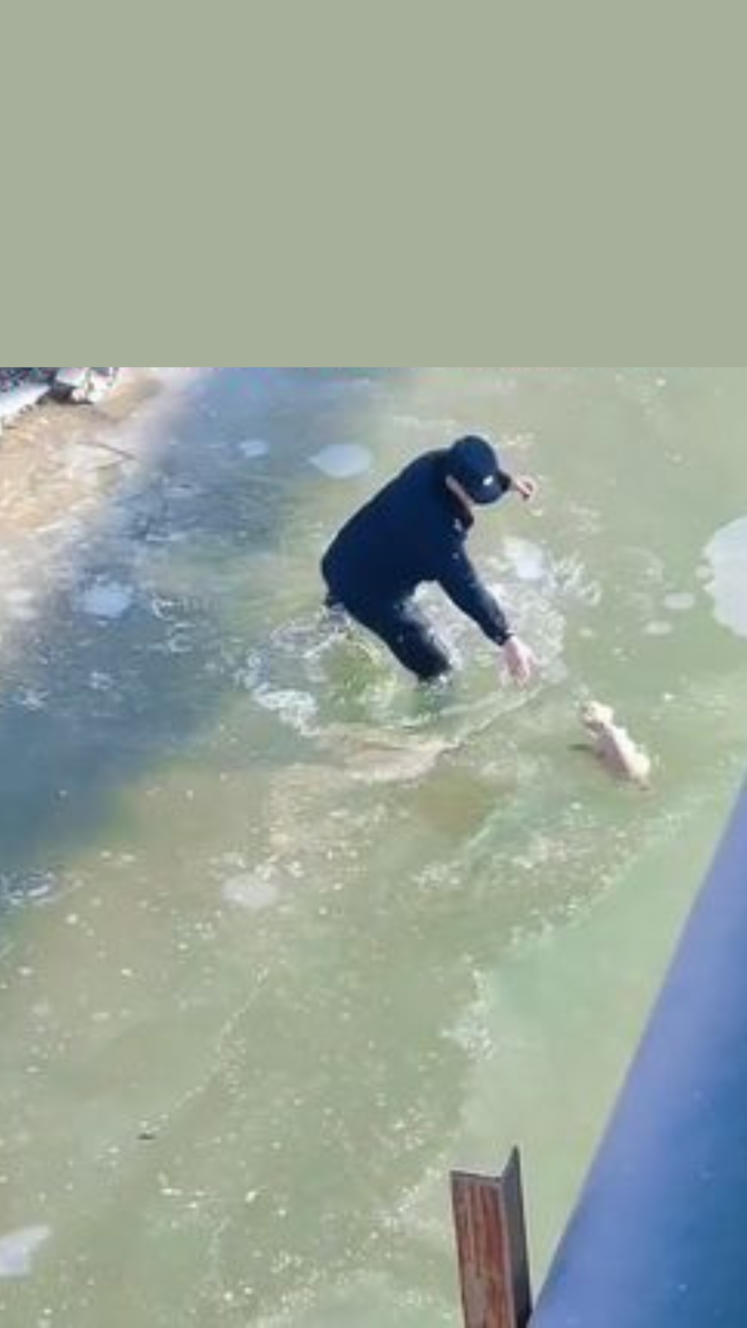 Frozen River Miracle: Police Officers Rescue Tiny Puppy Trapped Beneath the Ice