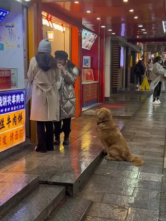 He Waited Outside the Food Shop Every Day — Until One Kind Stranger Changed Everything